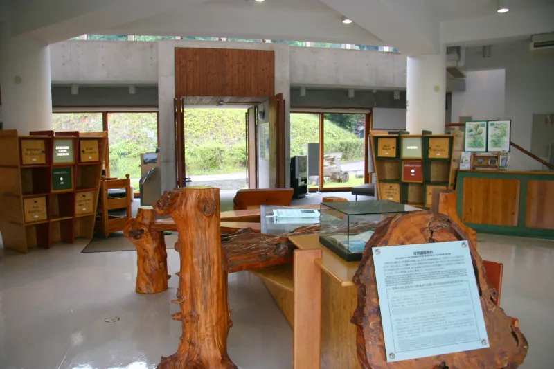 様々な展示を通して屋久島を知ることのできる施設