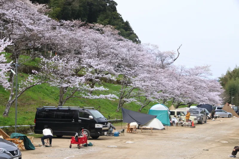 桜の名所としても有名な場所で、花見をしながらＢＢＱも可能