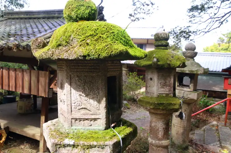 石灯籠の上には苔が生え、趣のある光景