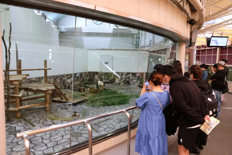 ガラス越しにパンダを見学できる屋内の展示施設