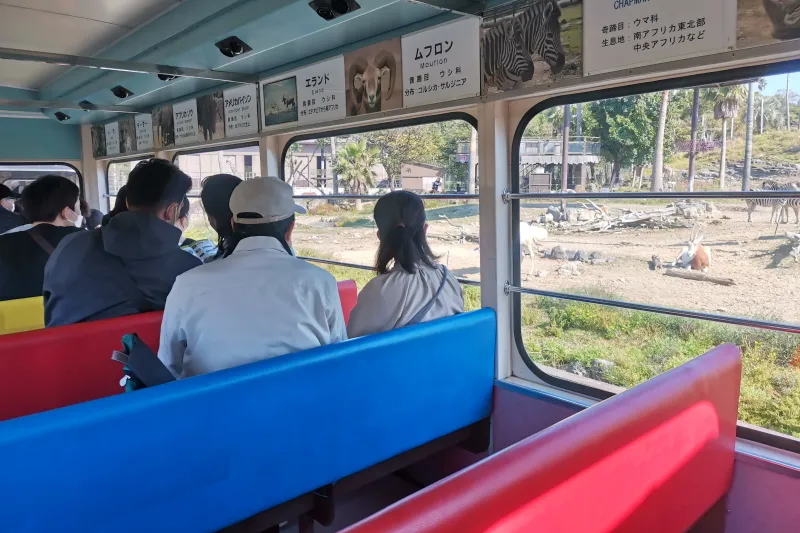 サファリ列車に乗って、車内からのんびりと動物たちを見学