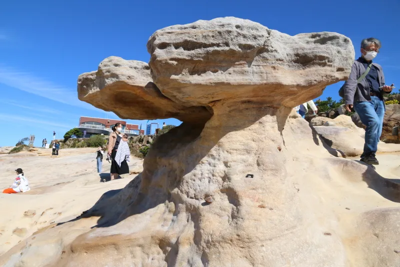 柔らかい砂岩が削られて自然が造った芸術作品のような岩
