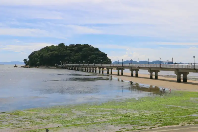 橋の周辺は遠浅となっているため、干潮になると現れる干潟