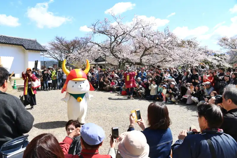 ひこにゃん撮影イベント