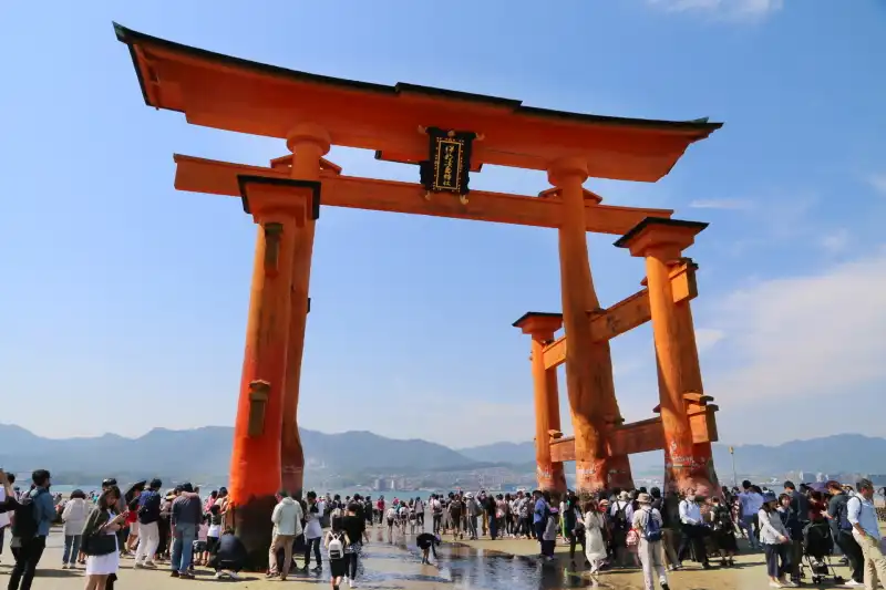 厳島神社の大鳥居