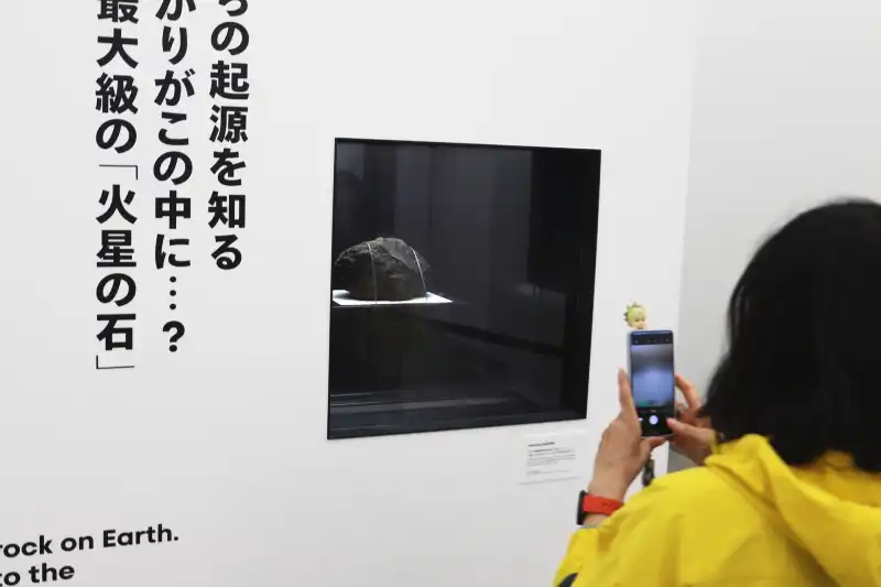 日本館の見どころの一つになっている火星の石