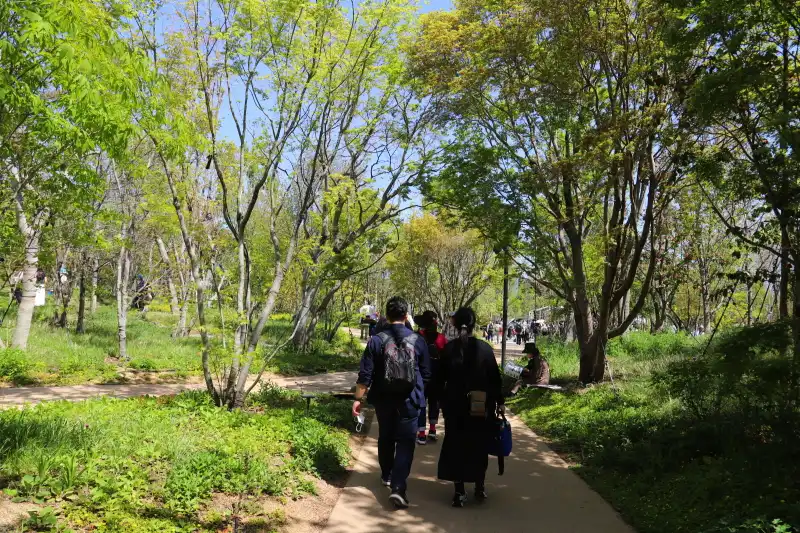 木陰ができる遊歩道を歩きながら散策のできるエリア