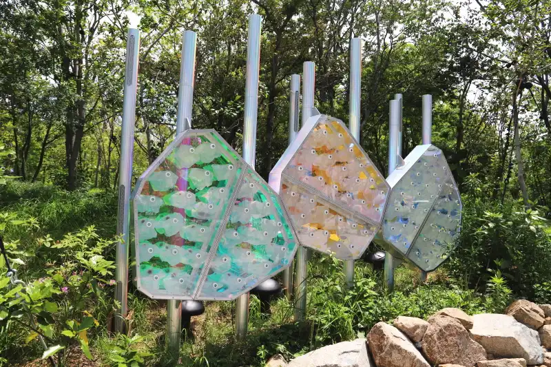 樹液が幹を流れる音がスピーカーから流れる植物をテーマにしたアート作品