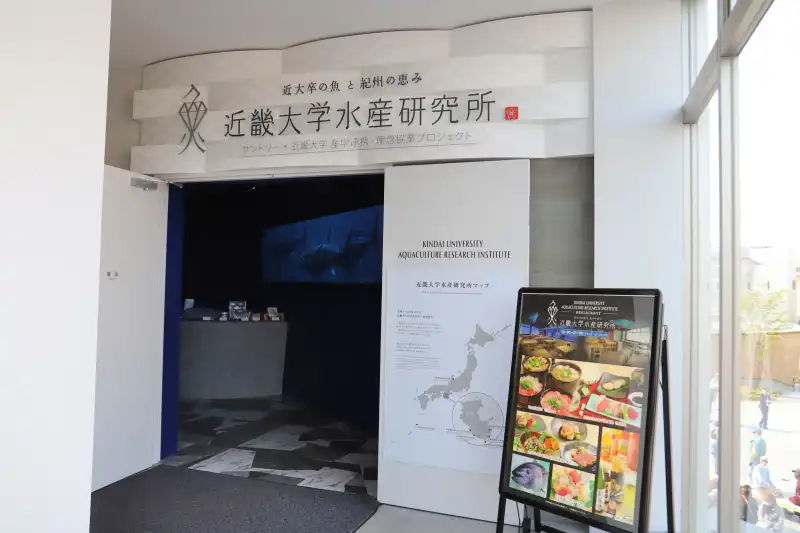 近大マグロなど海鮮メニューがそろう、レストラン「近畿大学水産研究所」