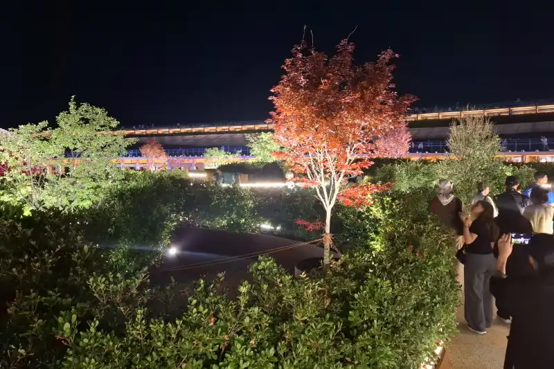 すべての展示が終わると彫刻などが置かれた屋上庭園を鑑賞