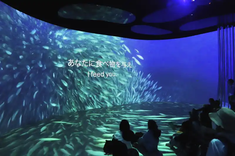 海洋汚染を海から人間へ問いかける映像シアター