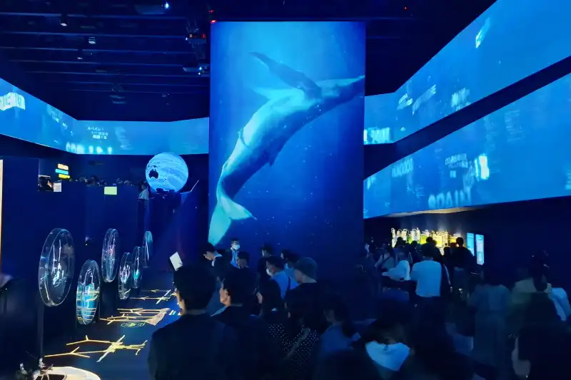 クジラや魚の映像も投影され、深海にパビリオンがあるかのような演出