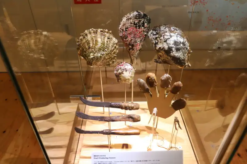 世界最高級の真珠として、2000年に渡って天然真珠の採集で繁栄