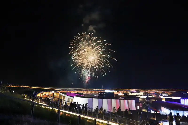 大屋根リングの芝生エリアから眺める花火