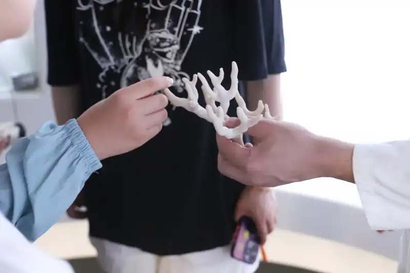 サンゴ礁の修復のために開発された３Ｄプリンタを使ったサンゴ製作