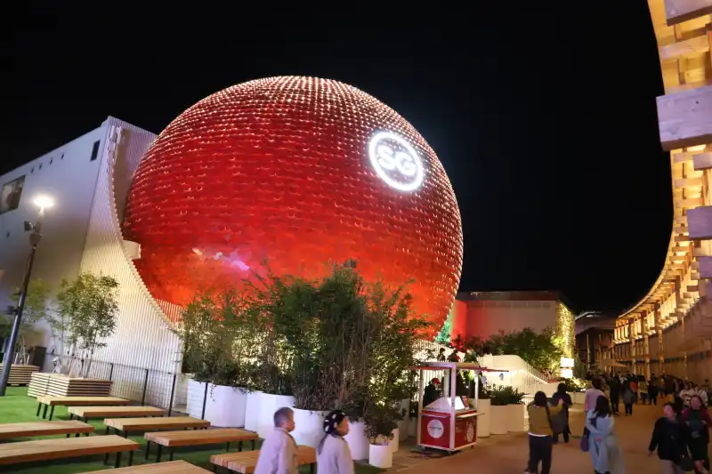 光が強弱しながら美しくライトアップする夜のシンガポール館