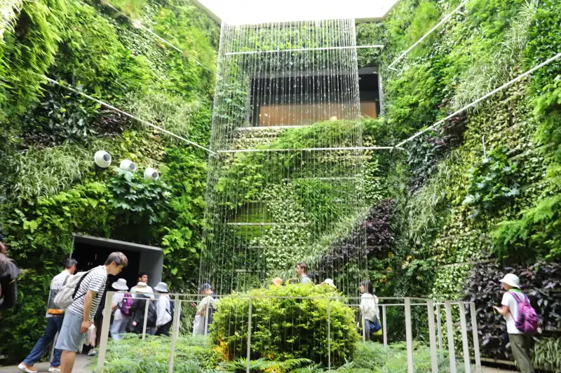 天井からゆっくりと水が流れ落ちる植物に覆われた吹抜け