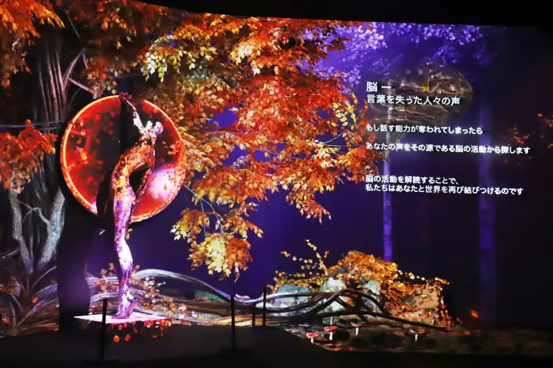 映像のクオリティーが高く、四季の移り変わりを演出するスクリーン