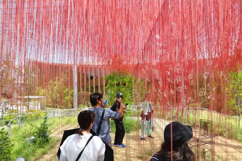最初に出てくる赤い糸が張り巡らされたアート作品「言葉の丘」