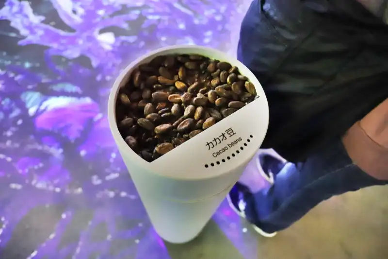 中央ポールにはコーヒー豆などの特産品が置かれ、触ることが可能
