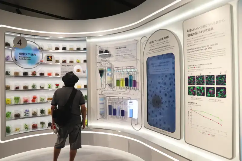 老化細胞を取り除く研究を行っている江崎グリコの展示