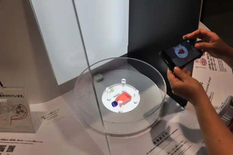 最先端の再生医療を紹介するIPS細胞をテーマとした展示