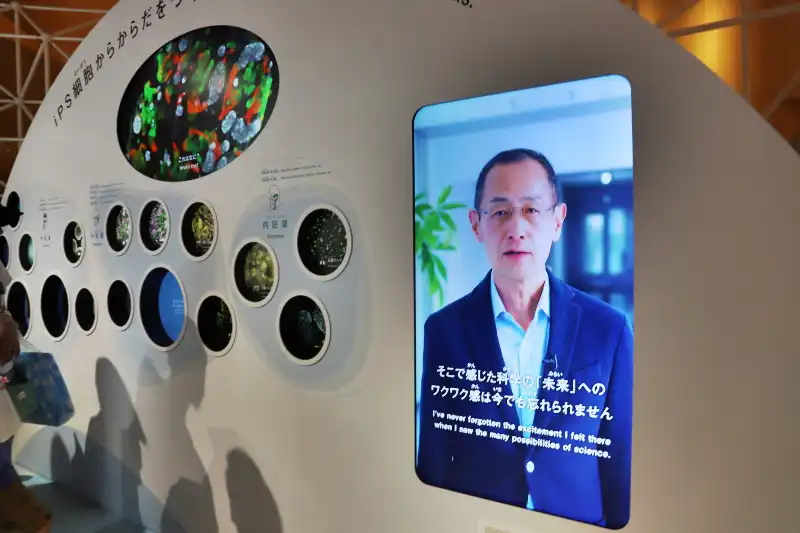 IPS細胞を使った治療や未来が知れる山中教授のメッセージ