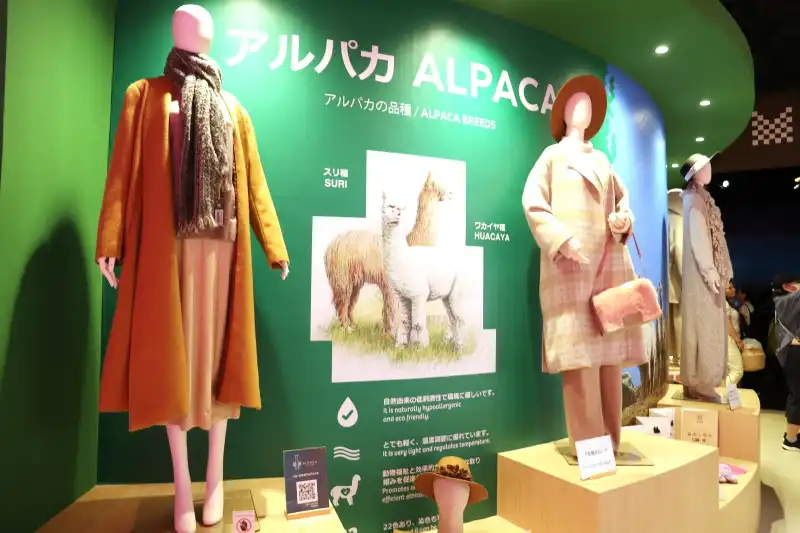 アルパカの毛を使ったニット、帽子、カバンなどの製品コーナー