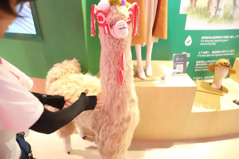 大きなアルパカのぬいぐるみは、触ることができ、モフモフ感を体験