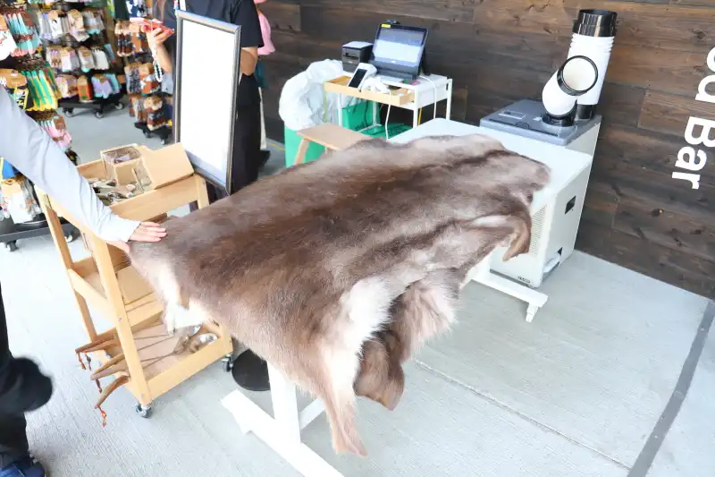 実際に触ることができるフワフワして柔らかいトナカイの毛皮