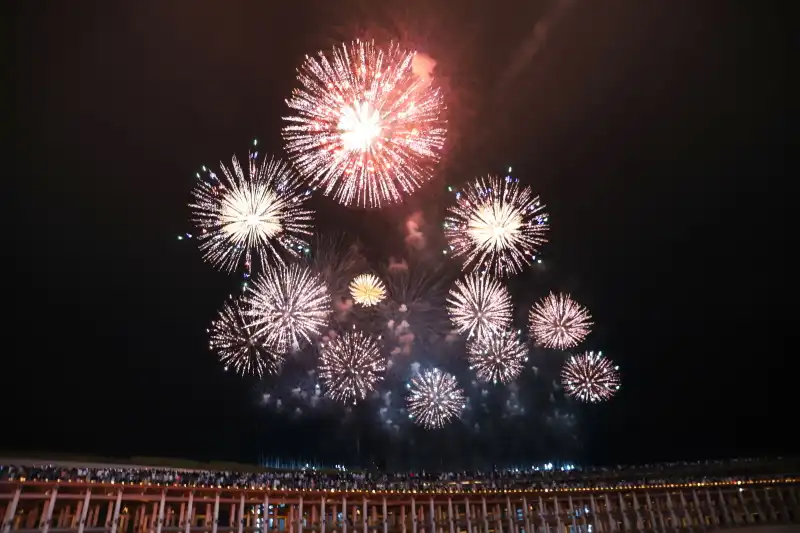 大屋根リングの後ろに上がる万博花火