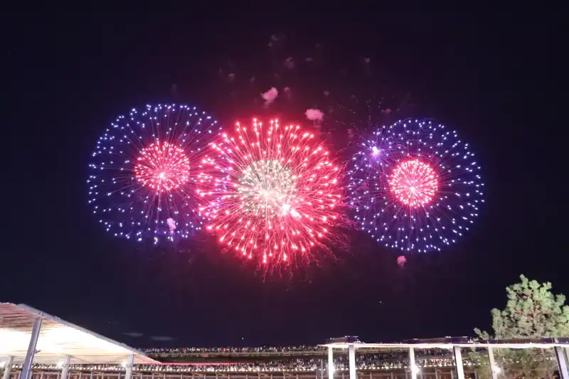 綺麗に打ち上がる万博の特別花火