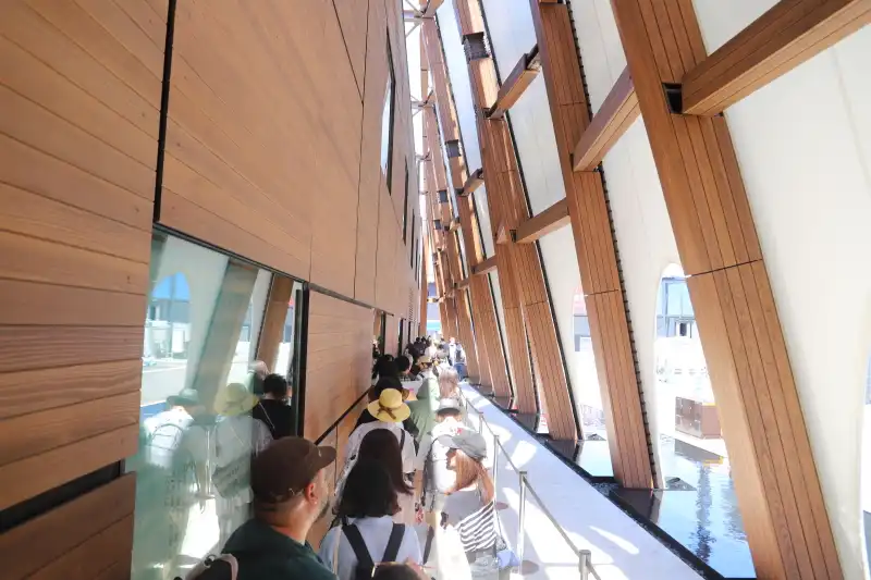 外壁には杉材がたくさん使われ、入館待ちは日陰になる工夫