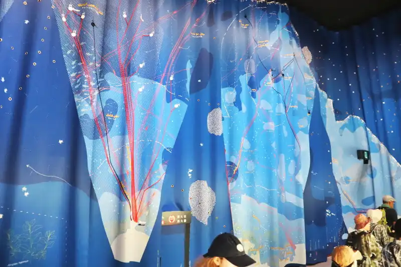 船舶の航路や海洋動物の分布を示す壁に吊り下げられたカーテン